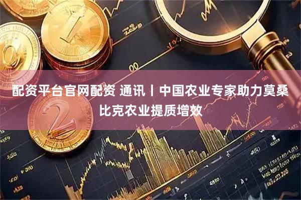 配资平台官网配资 通讯丨中国农业专家助力莫桑比克农业提质增效